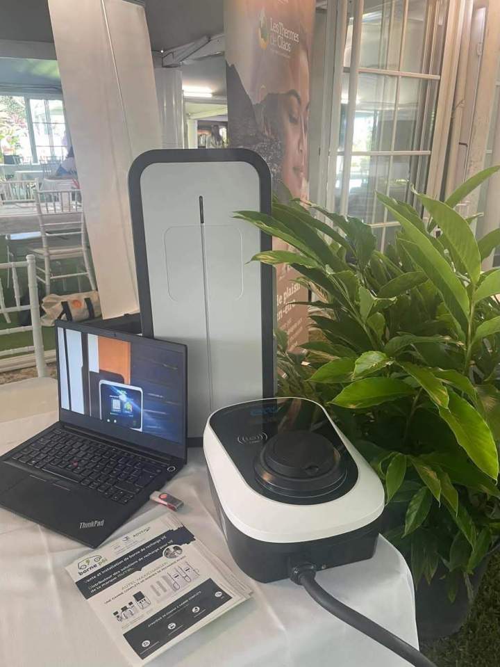 Vente borne de recharge La Réunion